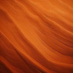 Disappear (Nature)