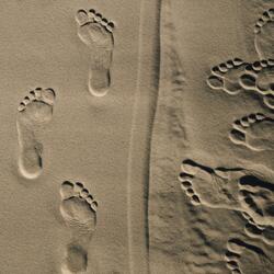 White Shores and Beyond