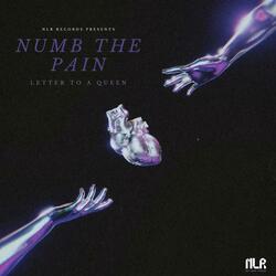 Numb The Pain (L.T.A.Q)