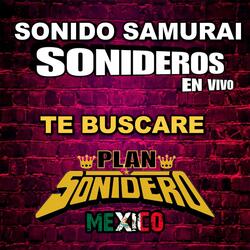 Te Buscare (Sonido Samurai)