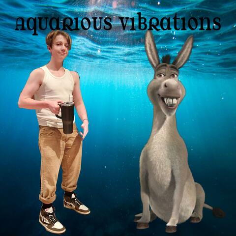 Aquarious Vibrations