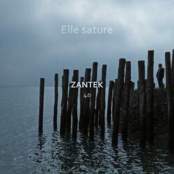 Elle sature