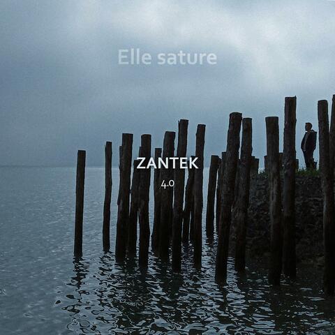 Elle sature