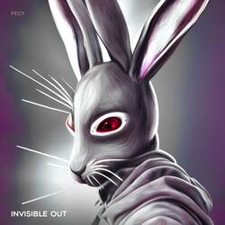 Invisible out
