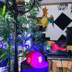 Right Now (feat. Kolo, Koli & Rebel Status)