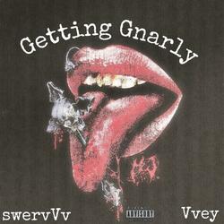 Getting Gnarly (feat. Vvey)