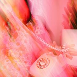 ON THE ROOFTOP (feat. John Pepito, Harrison Chestnut & Jasni McGrail)