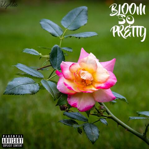bloom so pretty