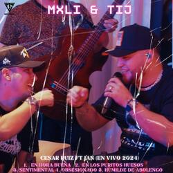 En los puritos huesos