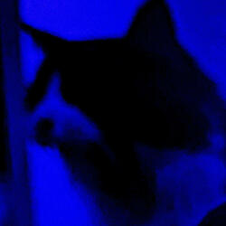 Spaceship (feat. Greatestredefined)