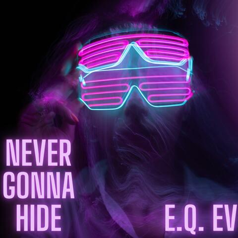 NEVER GONNA HIDE