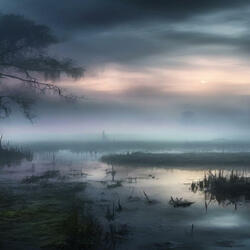 Ominous Swamp