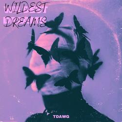 WILDEST DREAMS