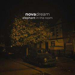 Elephant in the Room