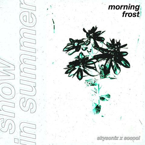 Morning Frost