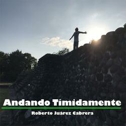 Andando Tímidamente