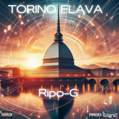 TORINO FLAVA