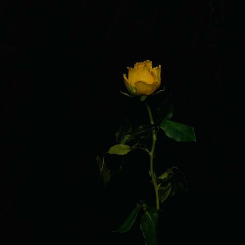 Pas Romantique