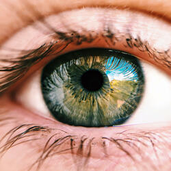 Open Your Eyes