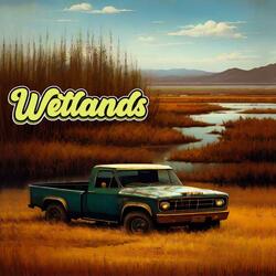 Wetlands