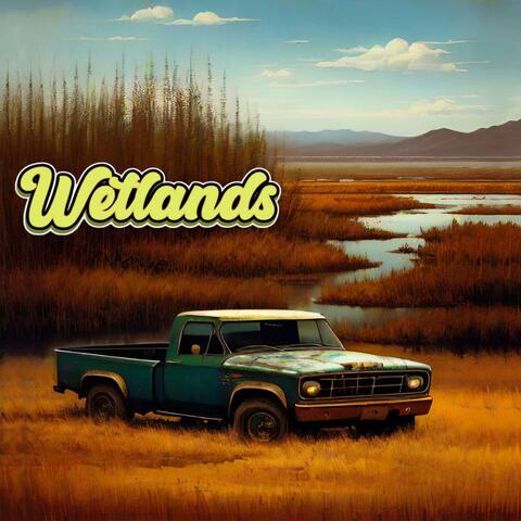 Wetlands