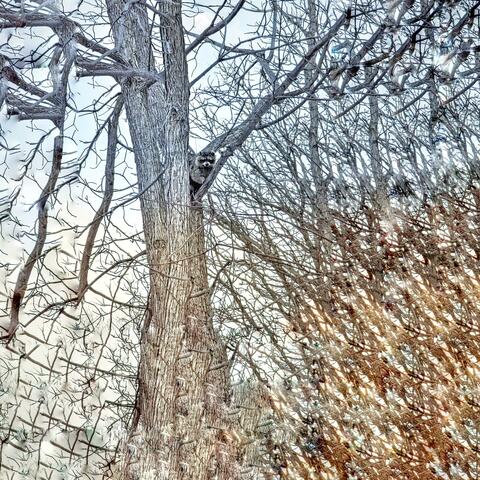 Crowd Pleaser (Highschool Version)