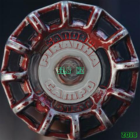 Campo magnetico 52.8 Hz