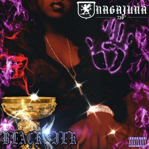 BLACK SILK (feat. braxcksdavinci)