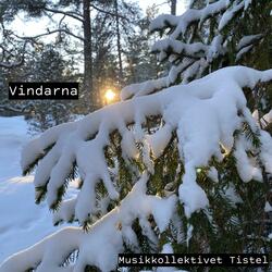 Vindarna