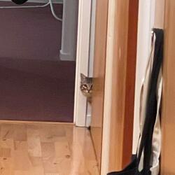 Curious