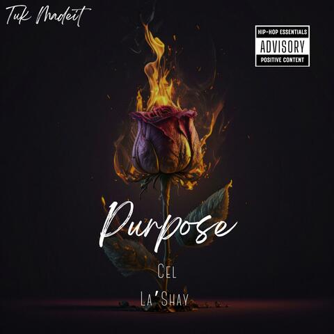 Purpose