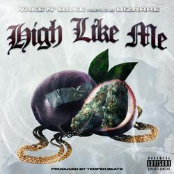 High Like Me (feat. Bizarre)