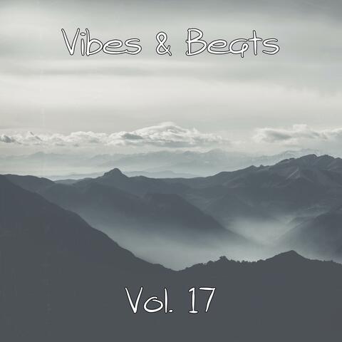 Vibes & Beats, Vol. 17