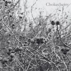 Chokecherry