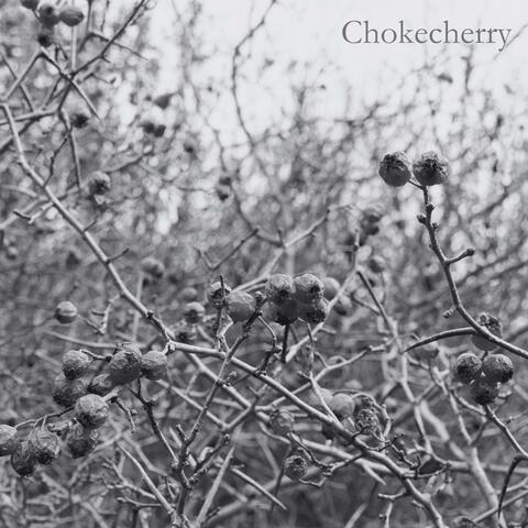 Chokecherry