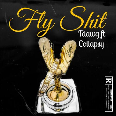 FLY SHIT (feat. Collapsy)