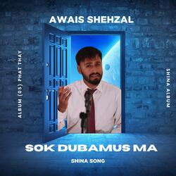 Sok Dubamus Ma (Shina Song) (feat. Muzafar Haramoshi)