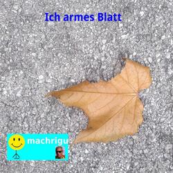 und mich durch den Wind verbiegen