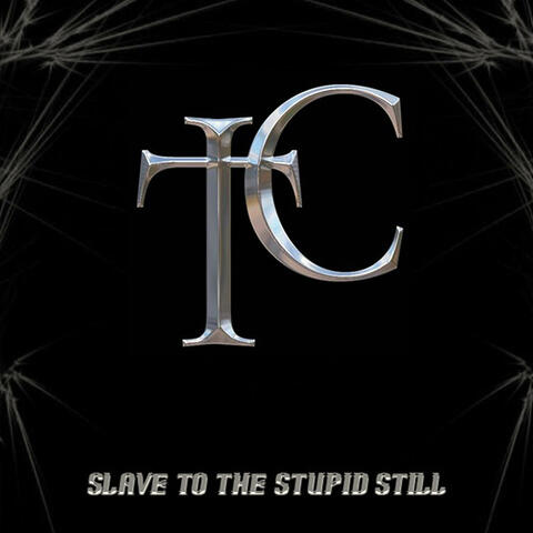 Slave To The Stupid Still