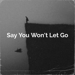 Say You Won't Let Go