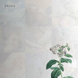 SAved