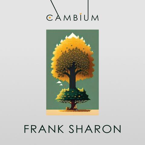 Cambium