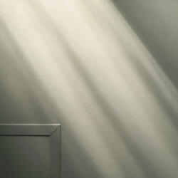 Cryptic shadows