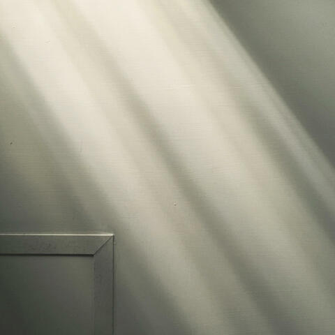 Cryptic shadows
