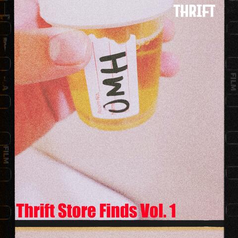 Thrift Store Finds, Vol. 1