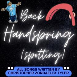 Back Handspring Spotting