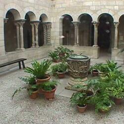 Soft Steps In The Courtyard