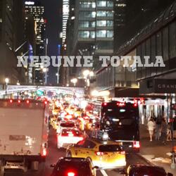 Nebunie totala