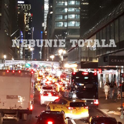 Nebunie totala