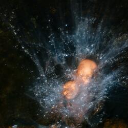 Cosmic Dancer